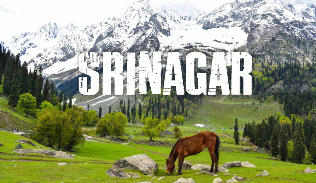 Srinagar